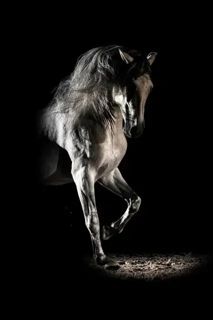 Modern Animals Horse Black and White Horse Posters, Prints Wall Art Pictures Canvas Painting, for Living Room Home Decoration